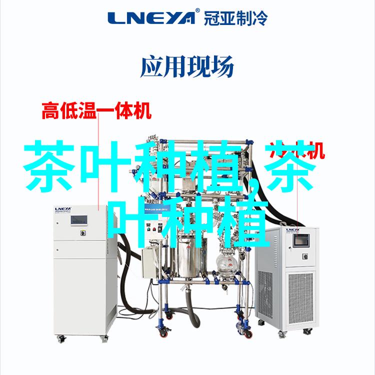 茶叶凹沟深栽法的应用技术措施